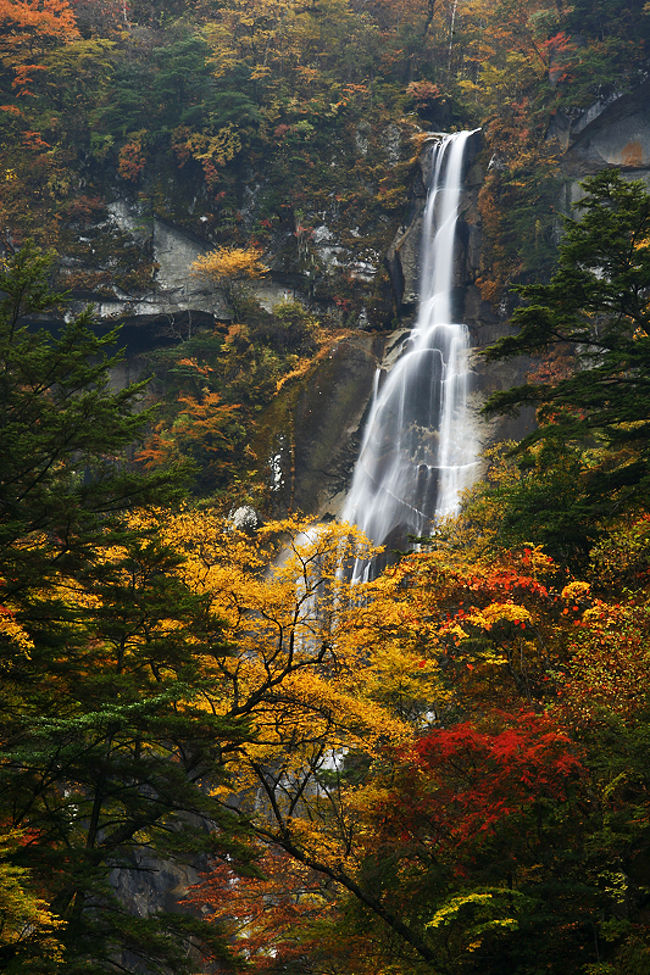 真作/月洲/紅葉瀑布図/秋景滝山水/掛軸☆宝船☆Y-345 真作】月洲/紅葉瀑布図/秋景滝山水/掛軸☆宝船☆Y-345 JM