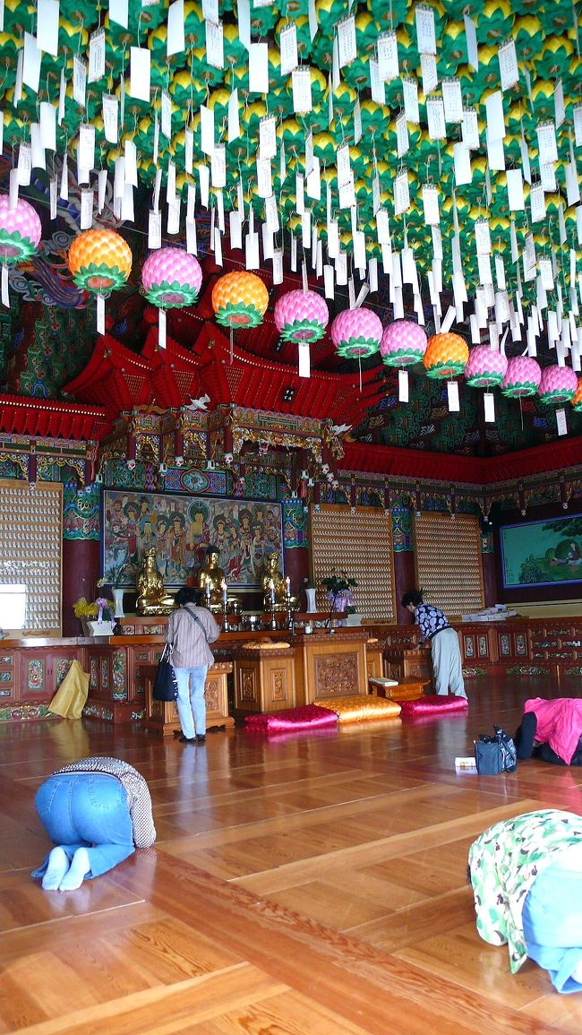 少し横手の入り口から見た海東龍宮寺本堂の内部です。<br />熱心な参詣者の方が、独特の方法でお祈りしていました。<br />このお寺は、真剣に１つの願い事を頼めば、必ず願い事がかなえられる、と言われています。<br />私も旅の安全をお願いしておきました。<br />お陰さまで、お天気も良く、楽しい旅行でした。<br />有難うございました。<br />