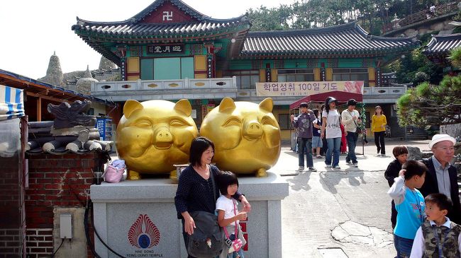 韓国では豚は幸運の象徴、境内にも金ピカの豚像。<br />特に２００７年は、「黄金豚の年」６０年に１回の干支に当たったそうです。<br />境内前のお土産屋さんにも沢山売られていました。<br />