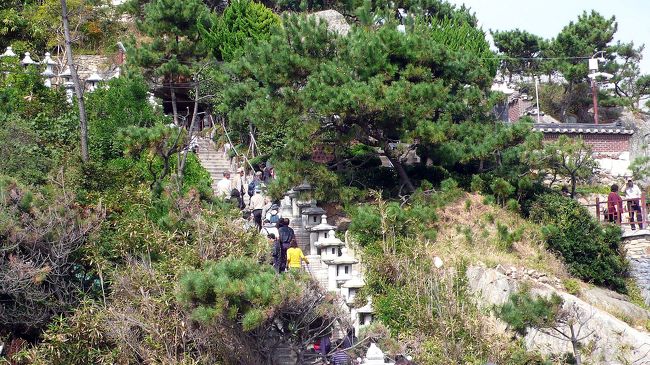 １０８の煩悩を意味する階段を下から眺める。<br />下りは良かったが、登るのは辛い。<br />「行きは良い良い帰りは怖い」怖いながらも、とおりゃんせ。<br />