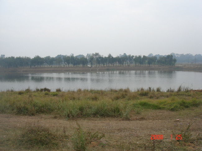 平和の火からは、北に向かって運河が流れていました。本当にルンビニ園はとても広い。