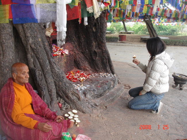 灯を〜<br />（記念撮影に良いかも！？）