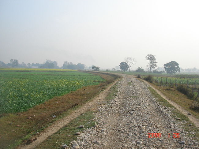 ルンビニ園を一歩外へ出ると、広大な土地が広がっていました。何もなく、少し寂しい感じがします。