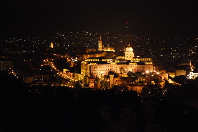 昼と夜では違った顔をみせますね。