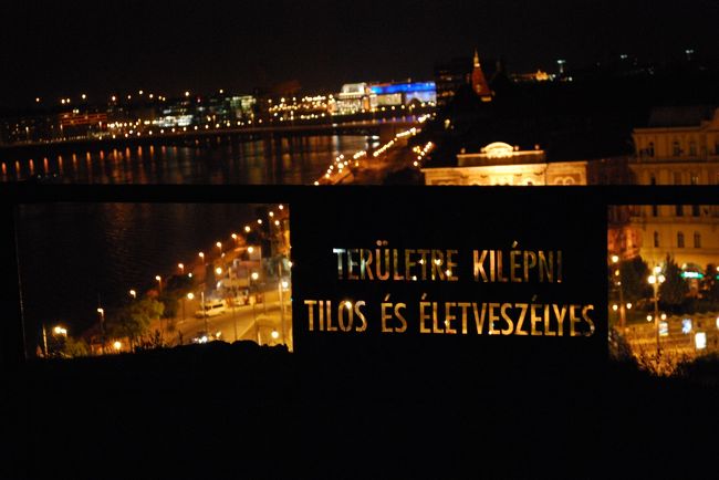 これには脱帽。<br />みせることを考えていますね。<br />うまいです。