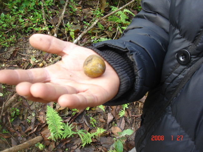 ジャングル・ウォークの途中で見つけました。<br />薬です。（何の薬だったかは忘れてしまいました…）