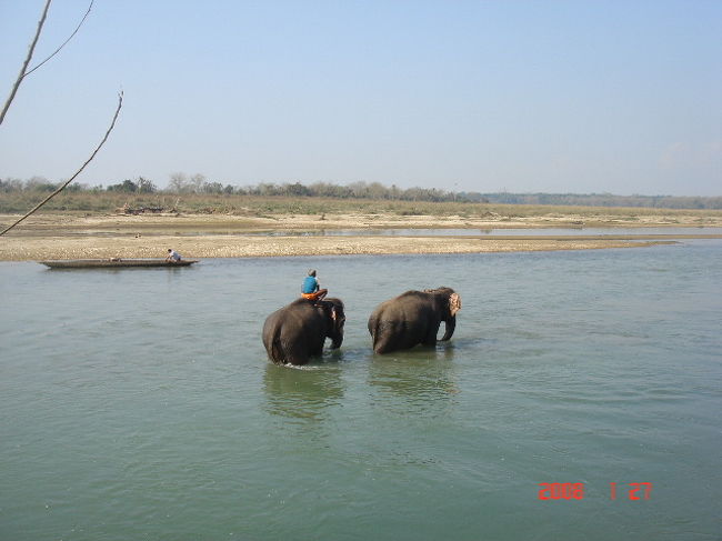 ラプティ河を渡っていく像さん。<br /><br />