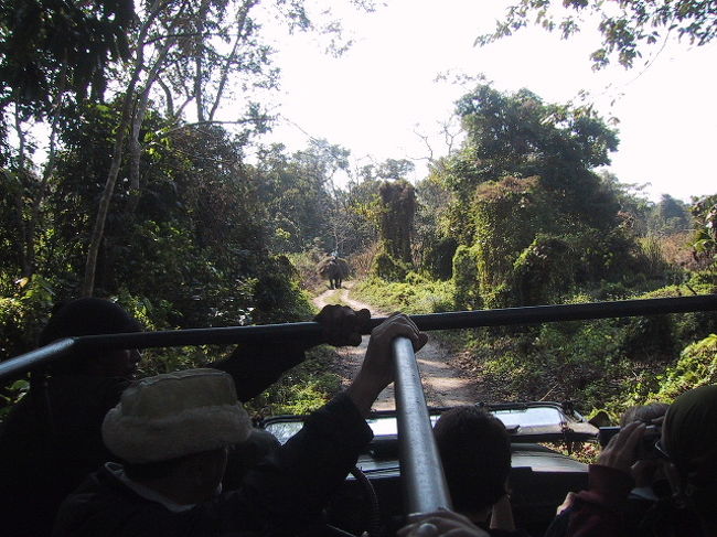 朝食の後、少しのんびりと休憩をし、午後2時より、ジープ・ドライブへ。<br /><br />1台のジープに何人かが一緒に乗るのですが、この日私達の乗ったジープは定員オーバー気味。<br />座るところがなかった為、立っていたのですが、かなりの悪路な為、とても悲惨でした…。