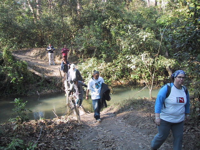 行程の半分ほど進んだところで車を降り、少し歩いていくと、トラとワニの飼育センターがありました。