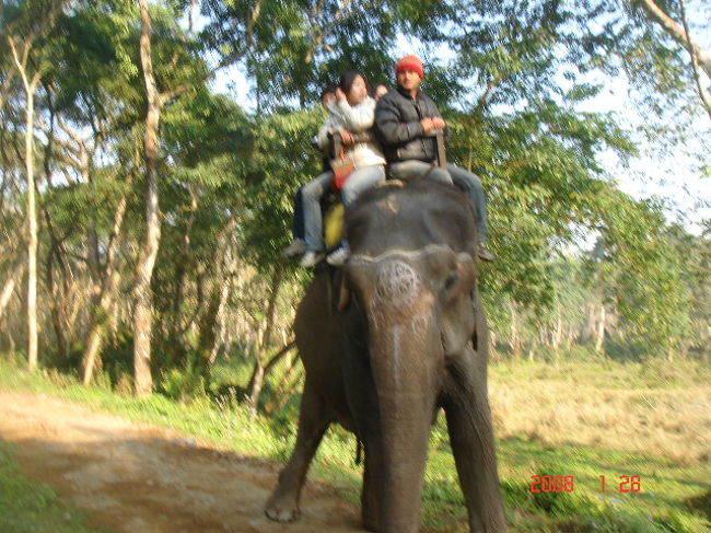 弟9日目。<br />出発前に、エレファント・サファリへ。<br /><br />1頭の像に4人で乗ります。<br />ジープ・サファリでもかなり体力を消耗しましたが、エレファント・サファリも相当なもの…。