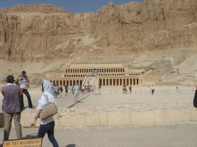 続いて2日目。<br />ハトシェプスト女王葬祭殿観光。