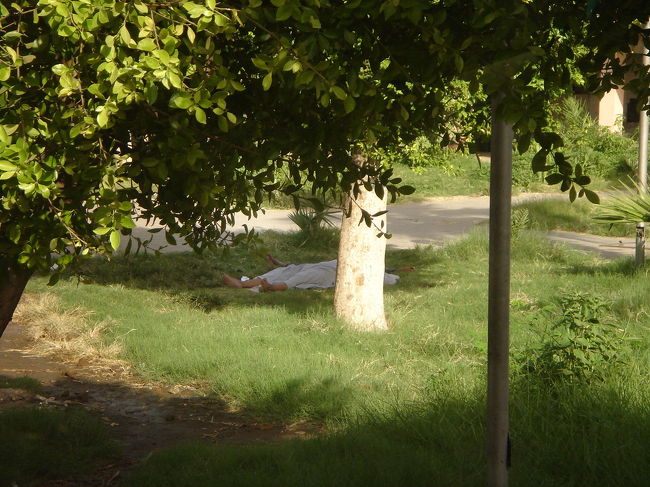 暑いからか木陰で死んだように寝てる人が多い。<br />ちょうどラマダン中だったし、日中は空腹も重なって何もする気になれないんだろうな〜。