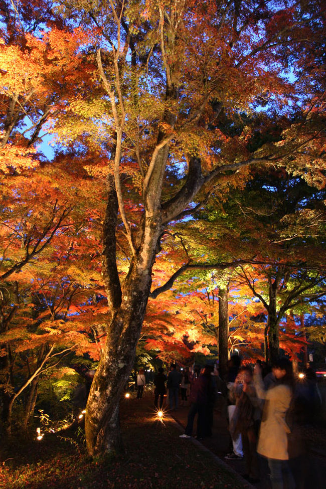 沢山の人が訪れていました。<br />日没直後で空もまだうっすら明るく、幻想的な写真になっています。