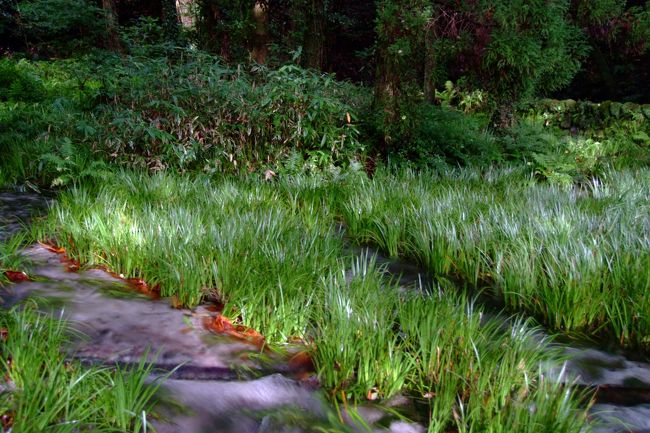 ここの湧き水は汲みに来る人が結構いるようですね。<br />「日本の名水百選」に選ばれているとのこと。