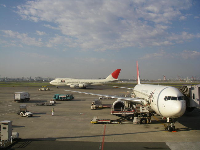 毎度おなじみJALで沖縄へ。<br />今回は初めてJALダイナミックパッケージを利用してみました。JALTOURSが直売するステキなパッケージツアー商品で、寸前になると料金改定をして安くなる。<br />出発15日前くらいに探したら、連休なのに33000円で沖縄に行けちゃいました。