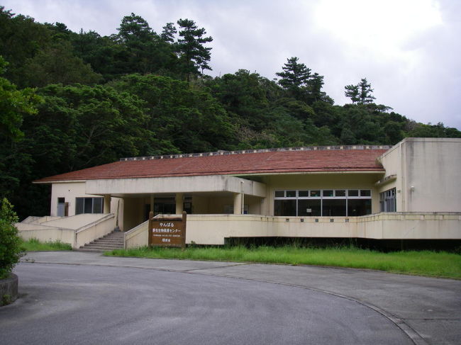 やんばるの野生生物保護センターへ。