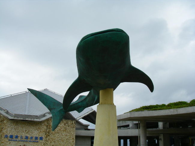 今年５回目の美ら海水族館へ。<br />ってか、来年は年間パスポート買おうと思います。