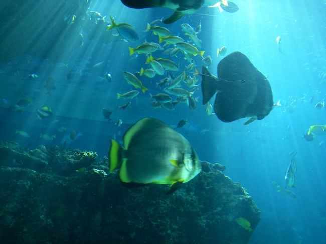 神秘的のつづき。