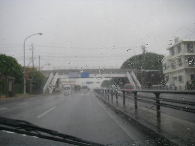 石川IC近くにあるビオスの丘に向けて出発。<br />しかし、那覇を出てからすごい大雨。高速道路では視界がほぼ無いくらいの状態で怖かったです。