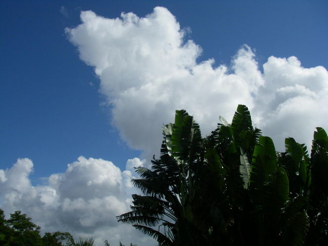 空は真夏のようでした。