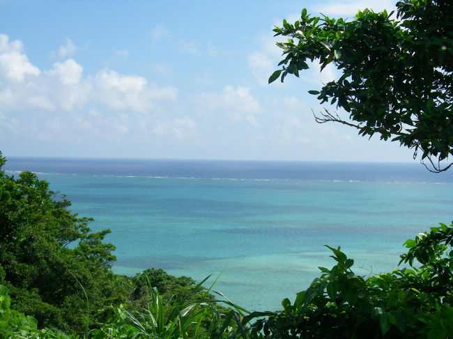お店はすごく綺麗な海が眺められます！