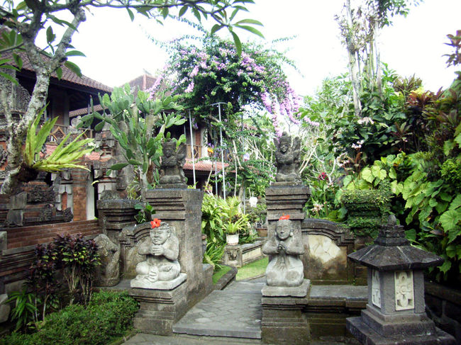 2日目<br />ホテルは玄関からレセプションまで2,30メートル歩く必要があり、昨夜は暗かったので迷いそうになる。<br />木々と花が一杯で気持ちが良い。