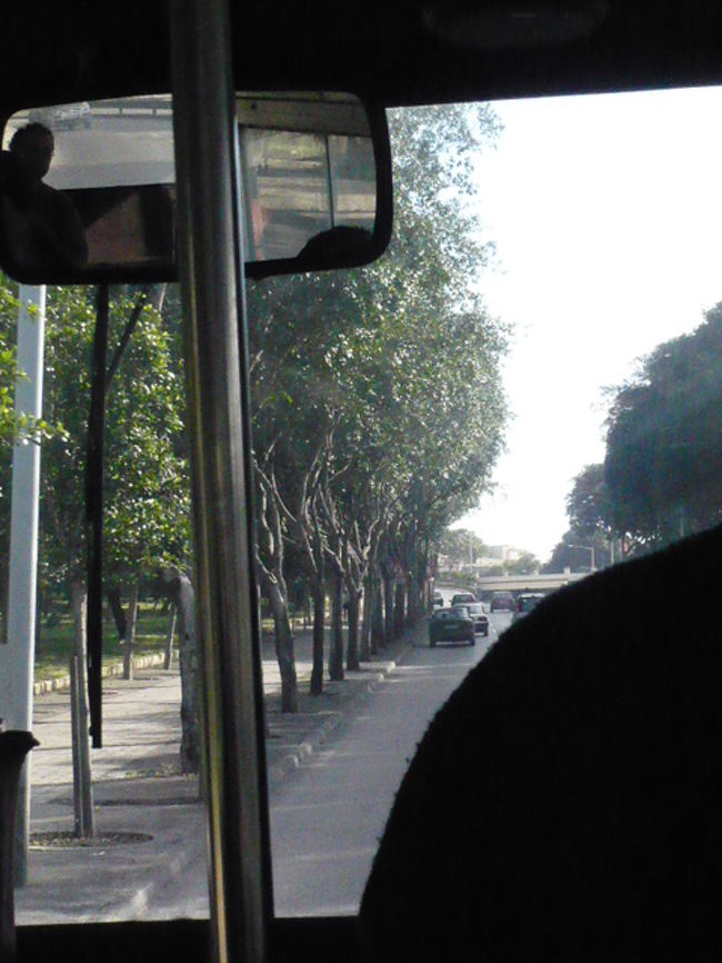 ←◆『バスからの景色♪』<br /><br />ターミナル近くに並木道があり<br /><br />ここを何度となく通過しました