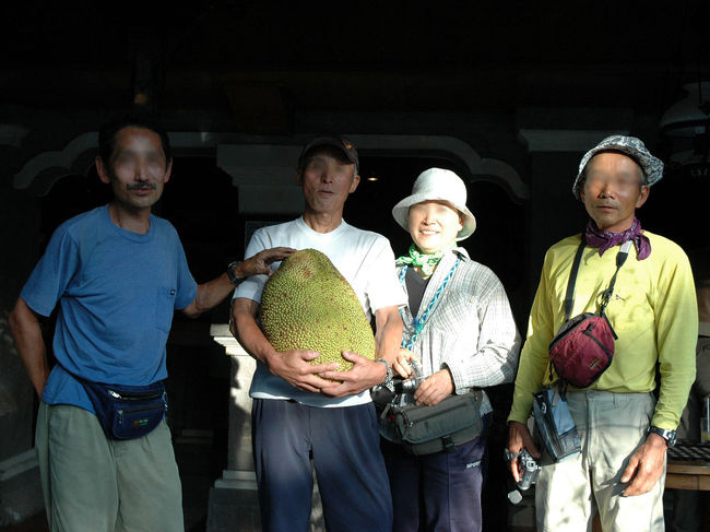 アグン山からの帰りに、木の幹から直接30cmくらいの実がなっているのを見付けた。ガイドに「何だ」と訊くと「ナンカ」と答える。うまいというので、途中の店で買って帰った（40,000ルピア）