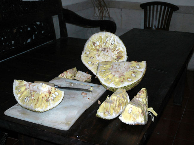 ホテルで訊くとジャックフルーツとの事。切って貰ったが、食べ過ぎると腹をこわすと言われ、右の2きれ以外はホテルに提供した。（ドリアンほどではないが結構臭う）