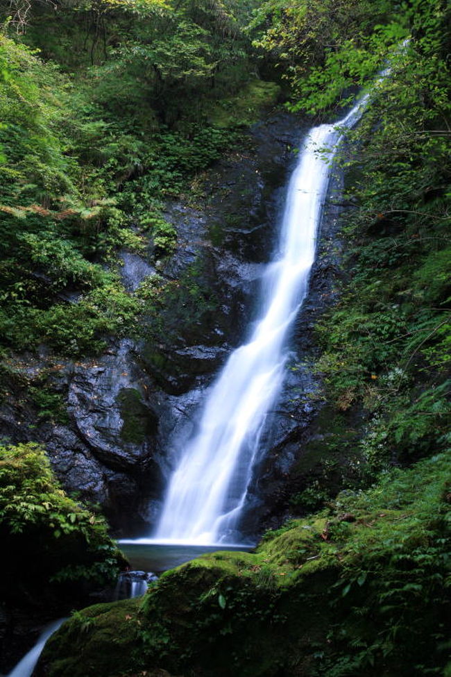 車で福井 若狭 名田庄 野鹿の滝 のかのたき 小浜 若狭 福井県 の旅行記 ブログ By シベックさん フォートラベル 車で福井 若狭 名田庄 野鹿の滝 のかのたき 小浜 若狭 福井県 の旅行記 ブログ By シベックさん フォートラベル
