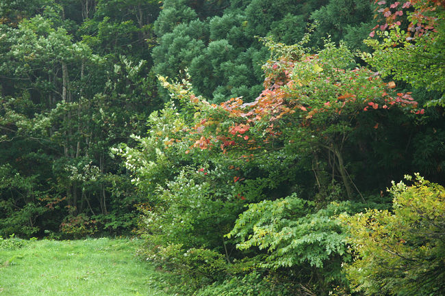 コスモスベルグはそこそこにして、渓谷方面へGo〜!