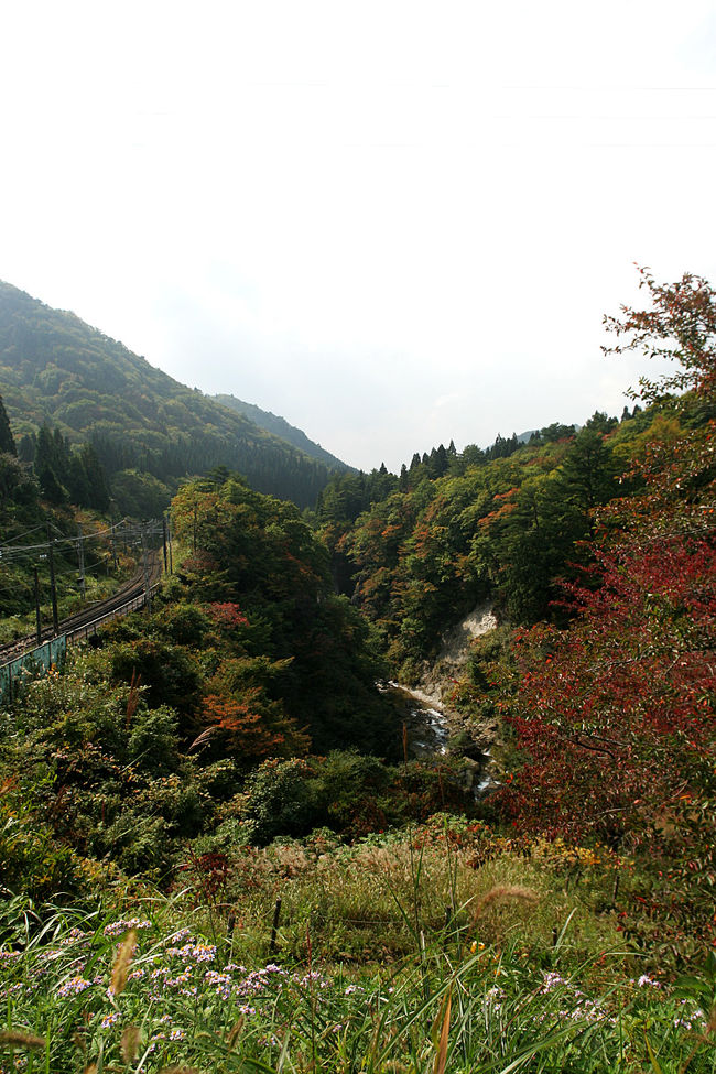 この旅行を計画した時、何を着ていけば良いかなｧ??!<br />そんな事で随分考えました。<br />結局、大阪ではまだ必要の無かった薄手のジャケットの様な上着を来て行きました。<br />この日は穏やかで、寒くもなく暑くもなく・・・