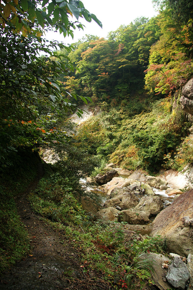 人っ子一人居ません。。。<br />歩ける道幅が狭いので、慎重に足を進めます。