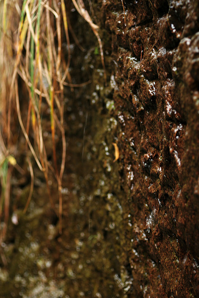 山肌を落ちて川に流れ込む水。<br />当然歩く地面も水分を多く含んでいます。