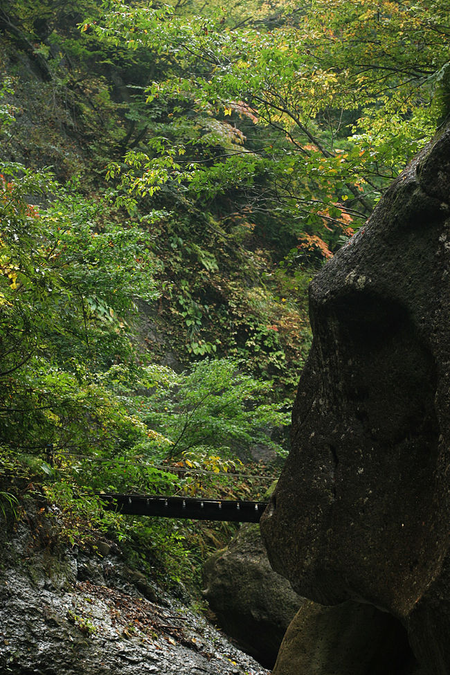 新鮮な空気が肌身にしみる〜