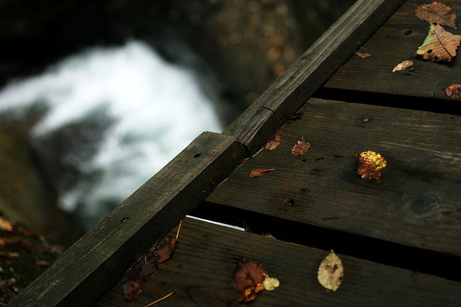 写真を撮っている間、ジャストタイミングで吊り橋が壊れませにょうに・・・m__m<br />祈るような気持ちでした。<br />