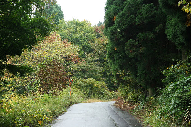 2時間ほど渓谷沿いを歩いて、面白山高原駅までは<br />市道を歩いて帰ります。<br />ここでもやっぱり人は見かけません^^;