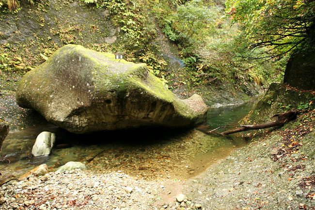 くじら岩。<br />本当にくじらのように見えますね。。。