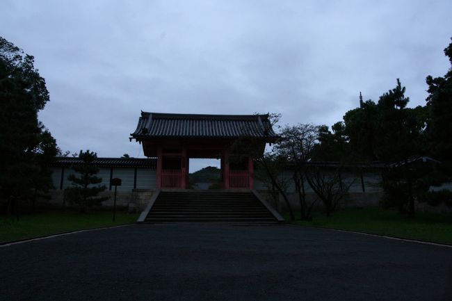 中門・夜明け前<br />この門には、私自身色々な想いが詰まっており、ここをくぐれる時に、先にある褒美を頂く気持ちとなります。