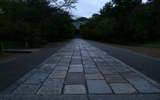 金堂までの距離はありますが、その空間も人気は無く、昼間と違う時の味をいただけます。