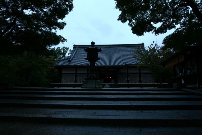 この時期は、シルエットに誘われる様な想いに、半分以上都旅が完成していく想いが膨らんでいきます。