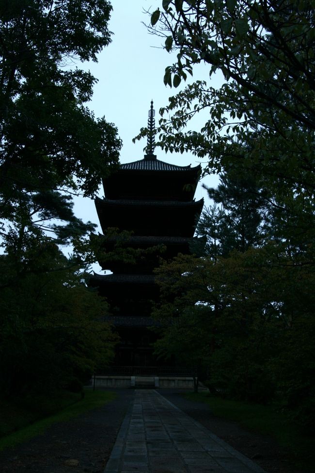 参道途中に有る五重塔のシルエットにも、心惹かれつつ金堂へと進みました。