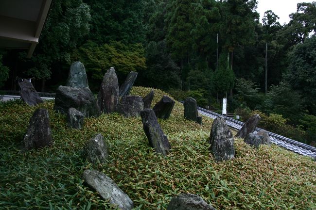 「上古の庭」笹が水辺となりて・・・<br />神社の由来を含み一層の深みを感じます。