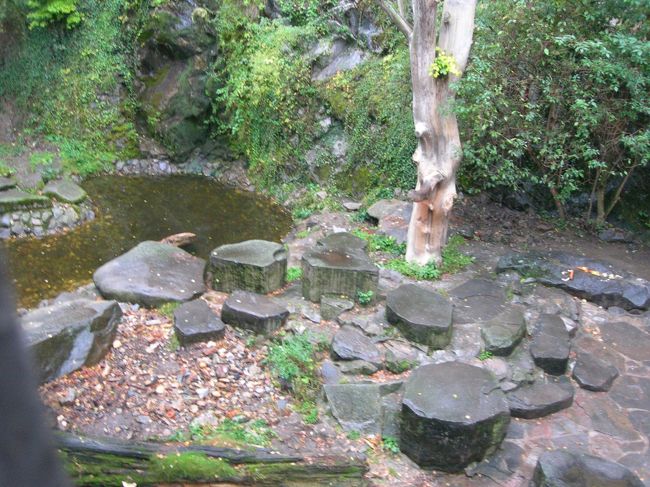 クルムロフ城の入り口の門の横には熊が住んでいるのですが、見えませんでした。雨が降っていたから屋根の下で雨宿りをしていたのかもしれません。