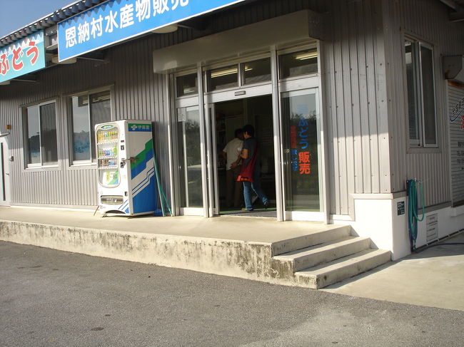 海ぶどう直売所がホテルの目の前だったので買いにいきました。<br />１パック５００円也<br />先日都内のデパートで同じ量を１２６０円で売っていました。