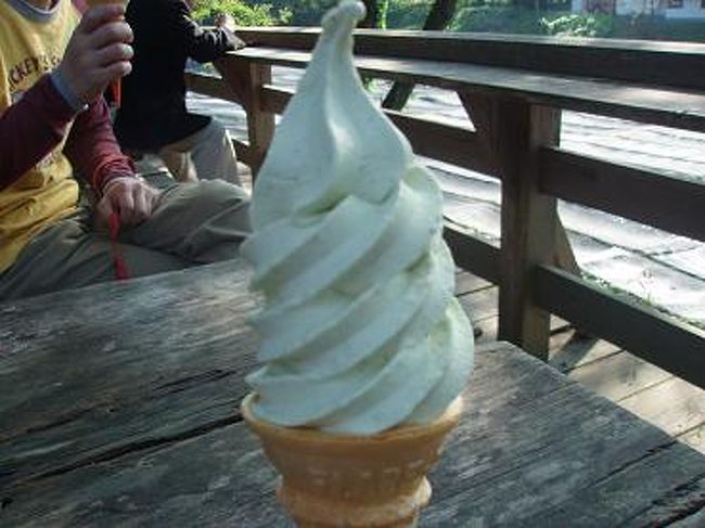 わさび田に来たら、これも食べなきゃね！！<br />【わさびソフトクリーム】です♪<br /><br />良く見ると、わさびの粒粒が入ってます。<br />あまりツーンとしなく、食べやすかったです。