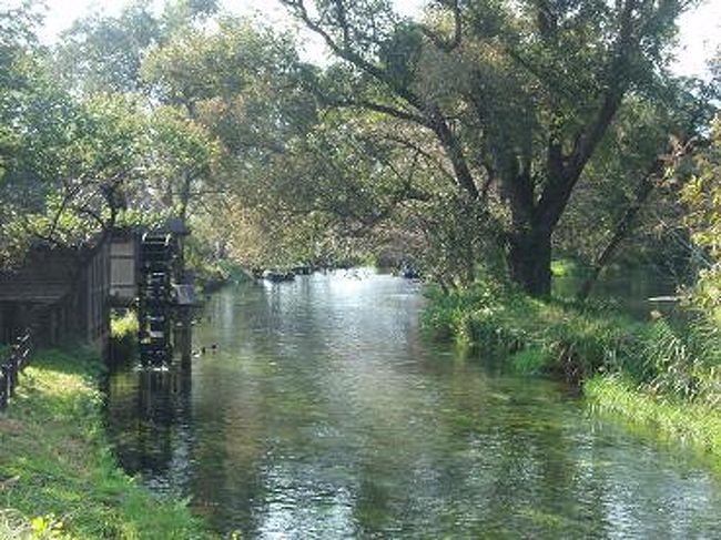 故・黒澤監督の映画「夢」のロケ地になった美しい水辺です。<br />水車がゆっくりと回っています。<br /><br />10人乗りのゴムボートで、わさび田に注ぐ清流を上ったり下ったりと自然を堪能できます。<br />ちょっとだけコース　約8分間　 1名　600円<br />もうちょっとコース　約15分間　1名　900円<br /><br />一度乗ってみたいなぁ♪ 