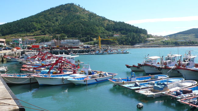 湾内には小型漁船が沢山係留されていました。