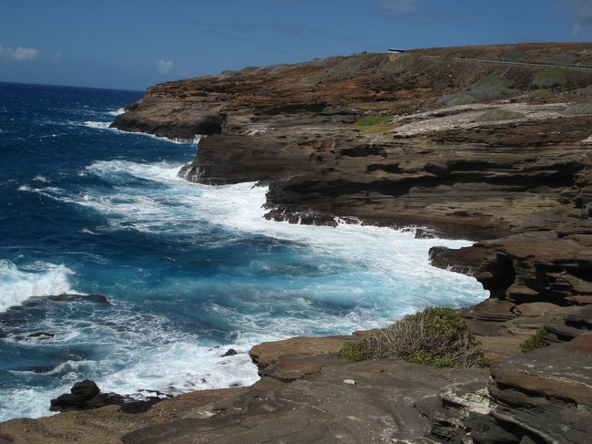 次の日レンタカーを借りてオアフ一週旅行。<br /><br />ハナウマベイは海がとってもキレイ。<br />青すぎてなんだかスライムに見える…。<br /><br />鯨が見えるスポットらしいけど残念ながら会えず。涙