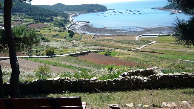 小高い丘の松林のベンチ前から、先ほどの桟橋付近を遠望。